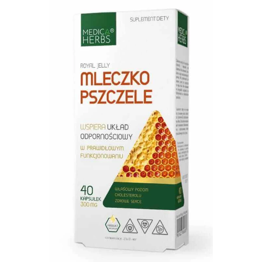 Маточне молочко 300 мг, 40 капс. Medica Herbs: ціни та характеристики