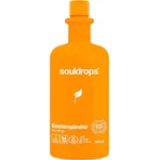 краплі для чищення вази Sundrop Vase, 750 мл: ціни та характеристики