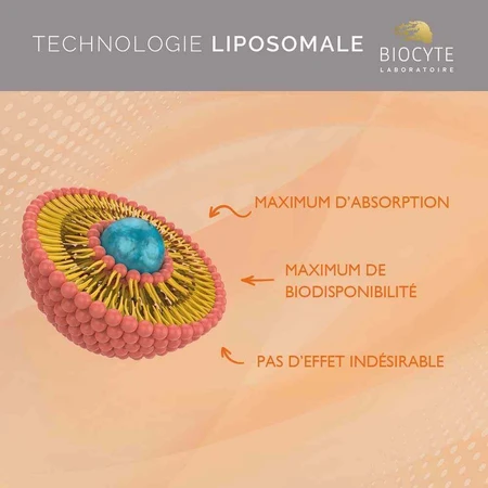 Biocyte Health Витамины C Липосомальные гели 90 капсул: цены и характеристики