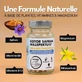Kotor Pharma Шафран Зверобой Эмоциональный баланс 60 капсул