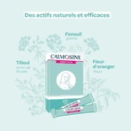 Calmosine Digestion Bio Calming Drink 12 Dosettes: цены и характеристики