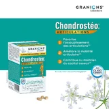 Granions Chondrostéo Хондростео Артикуляции 3x90 таблеток