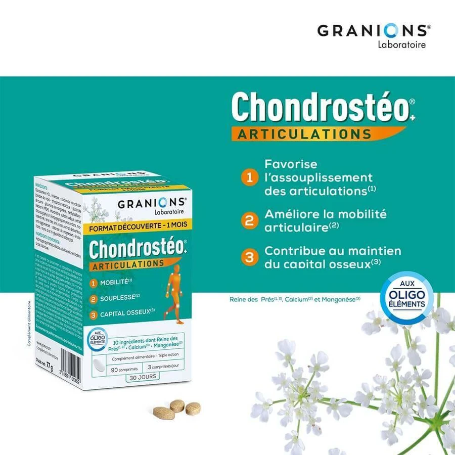 Granions Chondrostéo Хондростео Артикуляции 3x90 таблеток: цены и характеристики