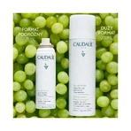 Caudalie Eau De Raisin, виноградная вода, 75 мл: цены и характеристики