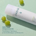 Caudalie Eau De Raisin, виноградная вода, 75 мл: цены и характеристики