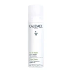 Caudalie Eau De Raisin, виноградная вода, 75 мл: цены и характеристики