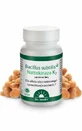Bacillus subtilis + Nattokinase K2 - 60 капсул Dr Jacob's