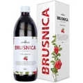 Нефдезант BRUSNICA suc 500 мл