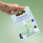 Caudalie Vinopure Starter Kit, гель для очищения лица, 30 мл + тонер, 50 мл + сыворотка от несовершенств, 10 мл + матирующий и увлажняющий флюид, 15 мл: цены и характеристики