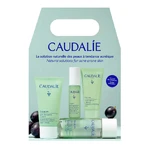 Caudalie Vinopure Starter Kit, гель для очищения лица, 30 мл + тонер, 50 мл + сыворотка от несовершенств, 10 мл + матирующий и увлажняющий флюид, 15 мл: цены и характеристики