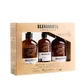 Набор для ухода за лицом спрей + эликсир + после бритья, Beardburys Essentials