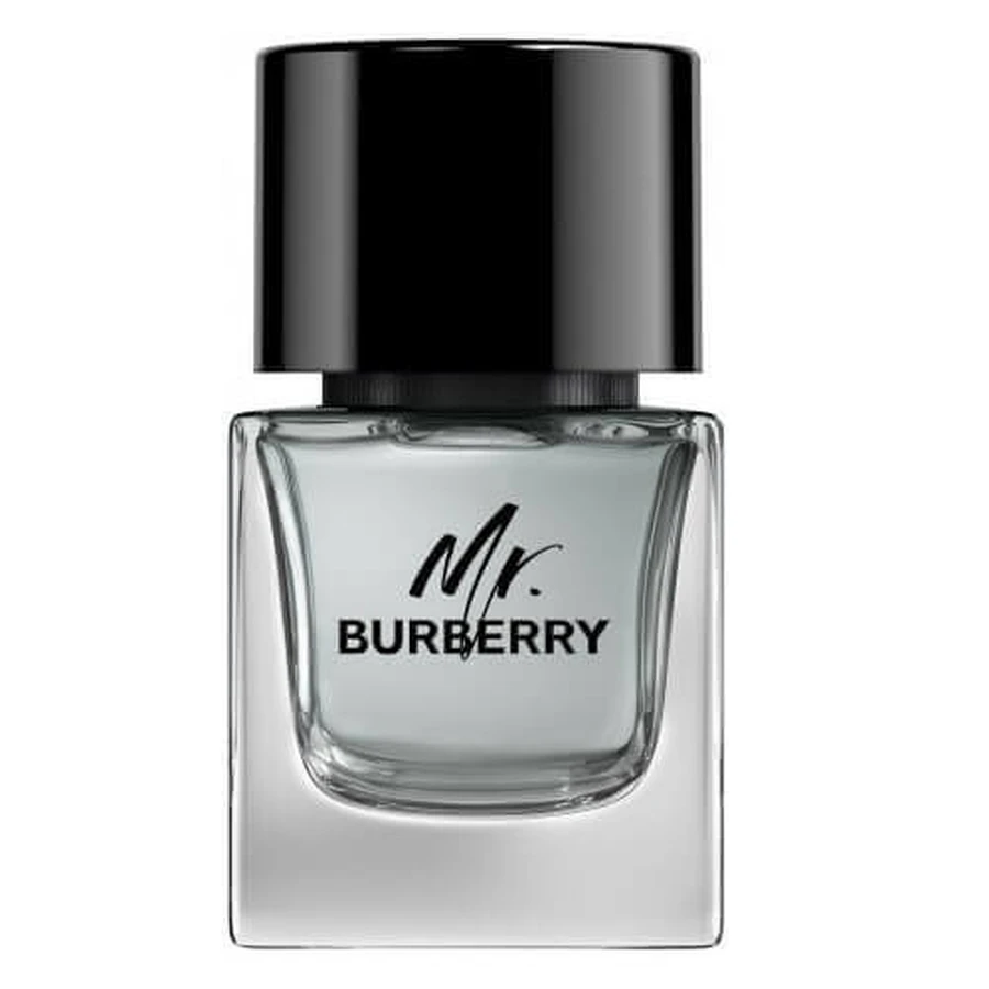 Туалетна вода Burberry Mr. Burberry, 50 мл: ціни та характеристики