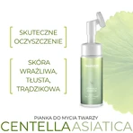 Sylveco FeedSkin Centella Asiatica, пінка для вмивання обличчя з азійським вакротом, 150 мл: ціни та характеристики