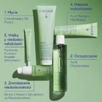 Caudalie Vinopure, точкова обробка з саліциловою кислотою, 15 мл: ціни та характеристики