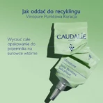 Caudalie Vinopure, точкова обробка з саліциловою кислотою, 15 мл: ціни та характеристики