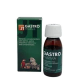 Гастро, 55 мл, JT Pharma
