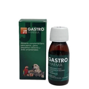 Гастро, 55 мл, JT Pharma