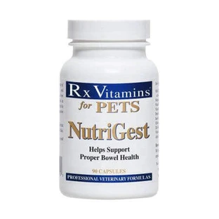 NutriGest, 90 капсул, RX Vitamins