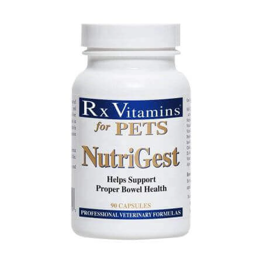 NutriGest, 90 капсул, RX Vitamins: ціни та характеристики