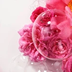 Roger & Gallet Rose, гель для душа, 500 мл: цены и характеристики