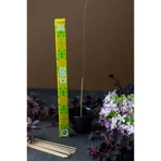 Aromandise Les Encens du Monde, пахощі Discovery, Кедр, концентрація, 12 штук: ціни та характеристики