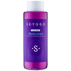 Seysso Color Blackcurrant, освежающий ополаскиватель для полости рта, 500 мл: цены и характеристики