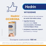 Hedrin Protection, защитный спрей-кондиционер против головных вшей, 100 мл: цены и характеристики