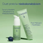 Caudalie Vinopure, матирующий и увлажняющий флюид, 60 мл: цены и характеристики