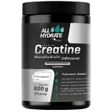 ALLhydrate Креатин моногидрат, порошок, натуральный вкус, 600 г