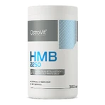 OstroVit HMB 2250 мг, 300 капсул: цены и характеристики