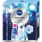 Набір Nivea Fresh Skin, денний крем, SPF 15, 50 мл + двофазна рідина для зняття макіяжу з очей, 125 мл + бальзам для губ, 4,8 г: ціни та характеристики