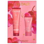 Caudalie VinoHydra, інтенсивний зволожуючий крем для обличчя, 60 мл + зволожуючий гель для вмивання, 50 мл у подарунок: ціни та характеристики