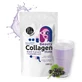 Diet-Food Beauty Collagen Shake, колагеновий коктейль з чорною смородиною, 200 г