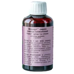 Флюаут сироп плюща классический Solution pharm флакон 200 мл: цены и характеристики