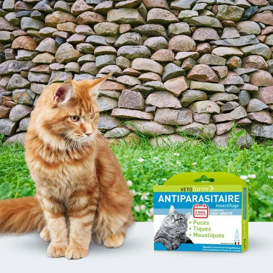 Vetoform Пипетки для борьбы с вредителями кошек 6x1 мл: цены и характеристики