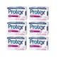 Набір з 6 антибактеріальних крем-мил PROTEX, 90 г