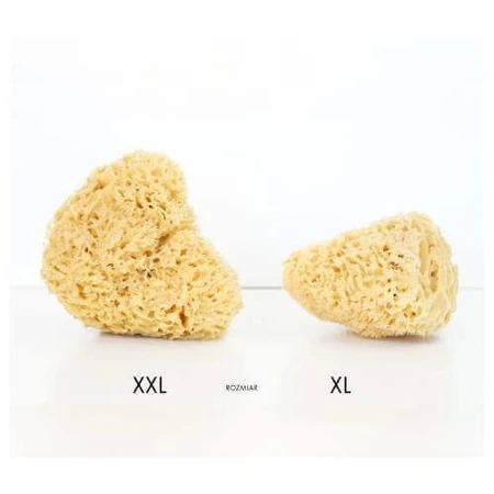 Lullalove Натуральная морская губка для лица и тела XL: цены и характеристики