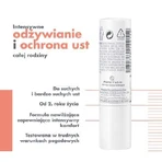 AVENE COLD CREAM Питательная губная помада, 4 г: цены и характеристики