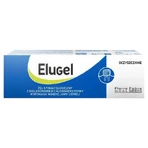 Elugel Очищающий стоматологический гель со вкусом мяты, 40 мл: цены и характеристики