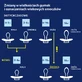 Lovi, пустушка, від 18 місяців, силіконова, динамічна, CapiChill, хлопчик, 2 штуки