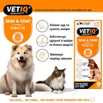 VetIQ Skin and Coat Liquid Cats & Dogs Масло для кожи и шерсти кошек и собак, 250 мл: цены и характеристики