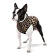Collar (Коллар) Waudog Clothes - Курточка для собак, малюнок "Леопард" M (50 см)