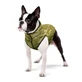 Collar (Коллар) Waudog Clothes - Курточка для собак, рисунок "Милитари" S35 (32-35 см)