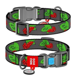 Collar (Коллар) Waudog Nylon - Нашийник для собак з малюнком 'Калина', QR паспортом та пластиковою пряжкою-фастекс, нейлоновий, 1,5х23-35 см