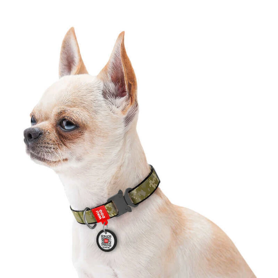 Collar (Коллар) Waudog Nylon - Нашийник для собак з малюнком 'Мілітарі', QR паспортом та металевою пряжкою-фастекс, нейлоновий, 1,5х23-35 см: ціни та характеристики