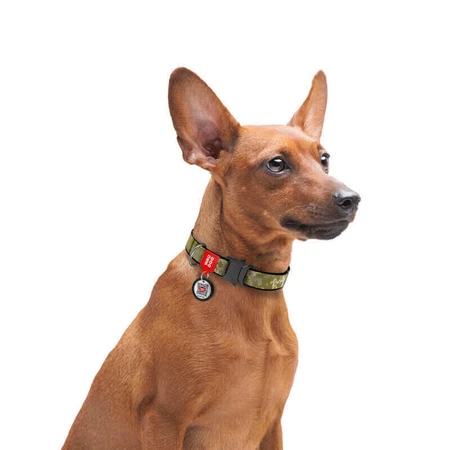 Collar (Коллар) Waudog Nylon - Ошейник для собак с рисунком 'Милитари', QR паспортом и пластиковой пряжкой-фастекс, нейлоновый, 2,0х24-40 см: цены и характеристики