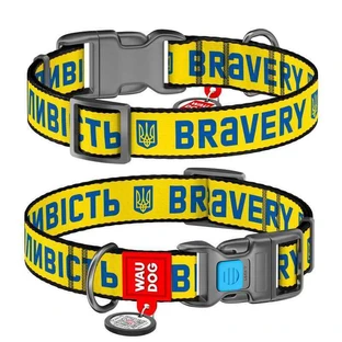 Collar (Коллар) Waudog Nylon - Нашийник для собак з малюнком 'Сміливість', QR паспортом та пластиковою пряжкою-фастекс, нейлоновий, 2,5х35-58 см