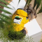 Дождевик для собак-девочек Pet Fashion ELSA, XS-2: цены и характеристики