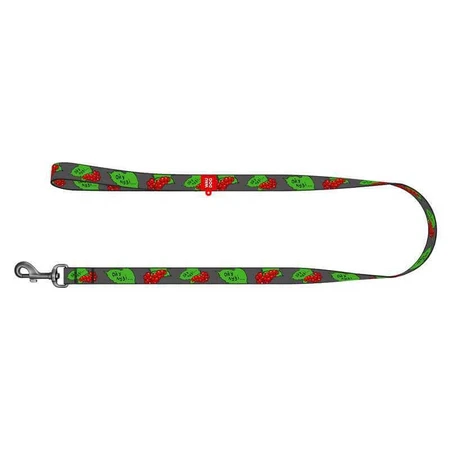 Collar (Цвет) Waudog Nylon - Поводок для собак с рисунком 'Калина', нейлоновый 2,5х122 см: цены и характеристики
