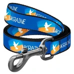 Collar (Коллар) Waudog Nylon - Поводок для собак с рисунком 'Знамя', нейлоновый 2,0х122 см: цены и характеристики